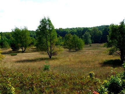 Undeveloped Land in Antrim County, Michigan