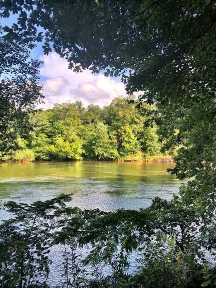 Undeveloped Land in Monroe County, Georgia