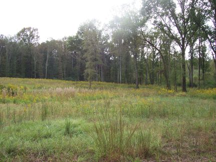Undeveloped Land in Shelby County, Alabama