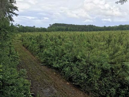 Land in Colleton County, South Carolina