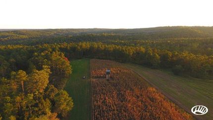 Recreational Property in Randolph County, Alabama