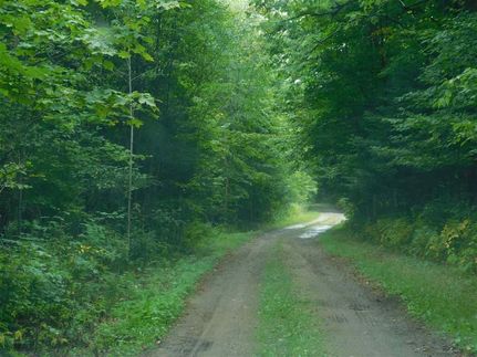 Commercial Property in Forest County, Wisconsin