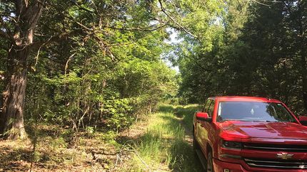 Waterfront Property in Taney County, Missouri