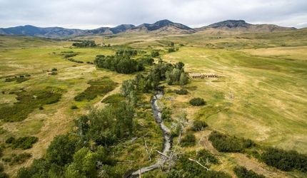 Undeveloped Land in Chouteau County, Montana