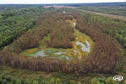 Timberland Property in Marshall County, Kentucky