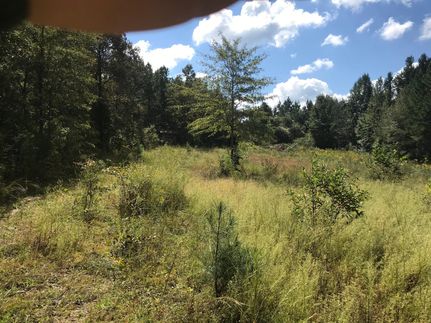 Farm and Ranch in Chilton County, Alabama