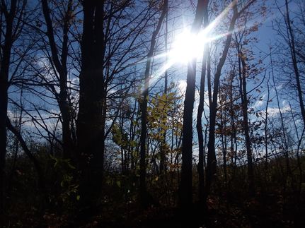 Timberland Property in Oneida County, New York