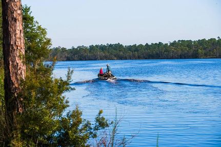 Timberland Property in Baldwin County, Alabama