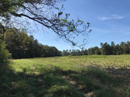 Farm and Ranch in Williamsburg County, South Carolina