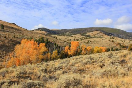 Recreational Property in Beaverhead County, Montana