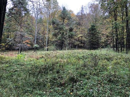 Farm and Ranch in Allegany County, New York