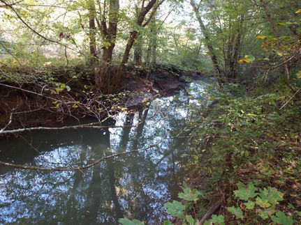 Recreational Property in Blount County, Tennessee