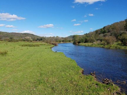 Waterfront Property in Allegany County, New York