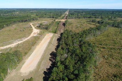 Timberland Property in Wayne County, Mississippi