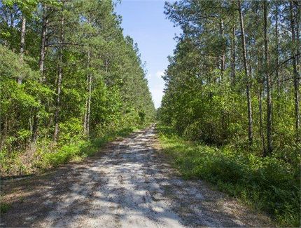 Farm and Ranch in Martin County, North Carolina