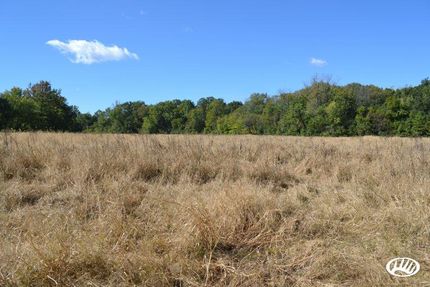 Timberland Property in Lawrence County, Illinois
