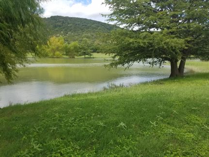Timberland Property in Bandera County, Texas