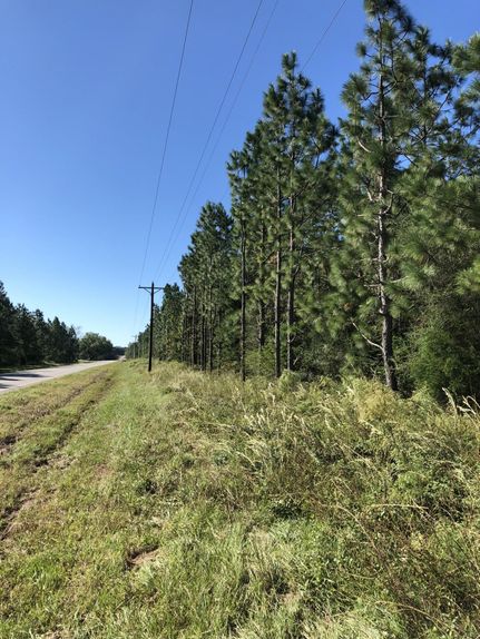 Recreational Property in Geneva County, Alabama