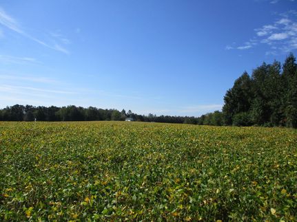 Recreational Property in Caroline County, Virginia