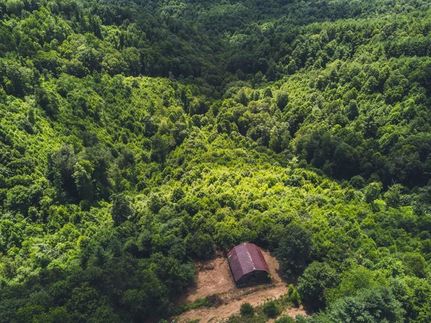 Recreational Property in Carroll County, Virginia