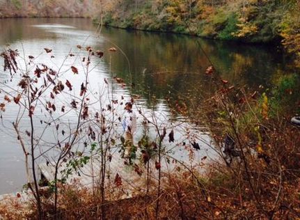 Farm and Ranch in Chilton County, Alabama