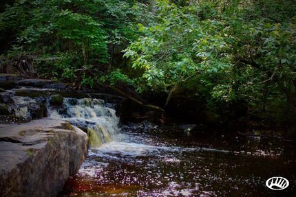 House in Carlton County, Minnesota