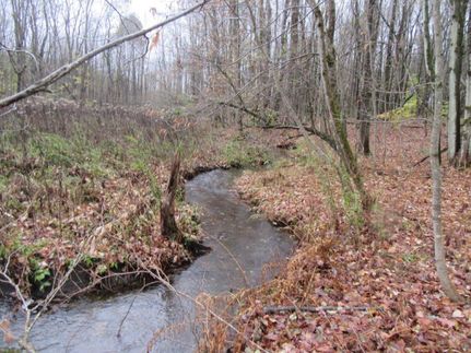 Commercial Property in Lewis County, New York