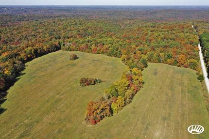 Timberland Property in Pope County, Illinois