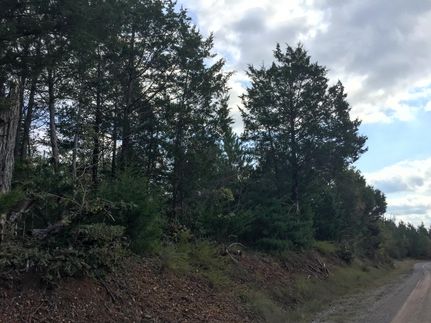 Farm and Ranch in McNairy County, Tennessee