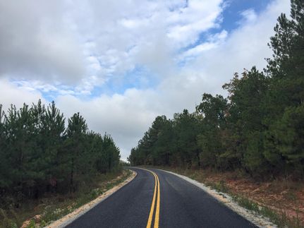 Undeveloped Land in Henderson County, Tennessee