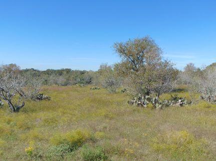Land in Gonzales County, Texas