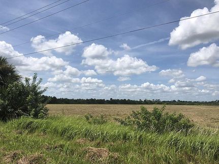 Undeveloped Land in Polk County, Florida