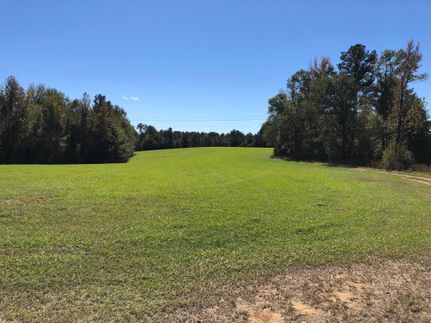 Timberland Property in Jefferson County, Mississippi