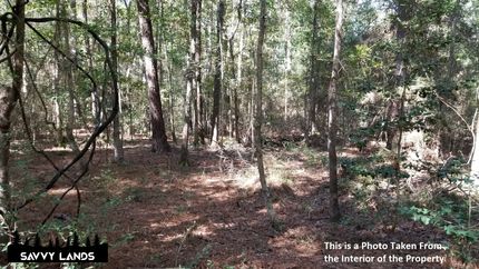 Land in San Jacinto County, Texas