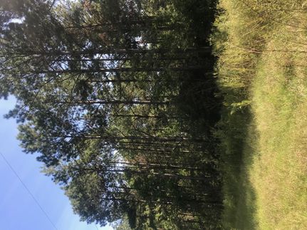 Commercial Property in Allen Parish, Louisiana