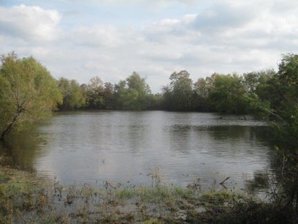 Recreational Property in Milam County, Texas