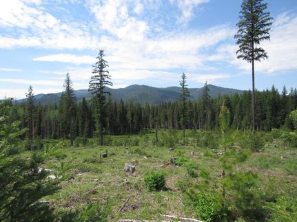 Timberland Property in Bonner County, Idaho