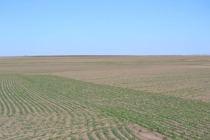 Farm and Ranch in Cheyenne County, Nebraska