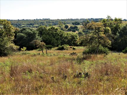 Undeveloped Land in Gillespie County, Texas