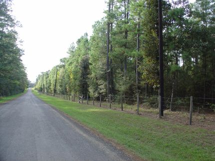 Timberland Property in Waller County, Texas
