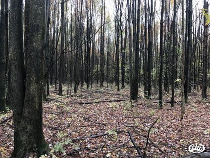 Land in Ashtabula County, Ohio