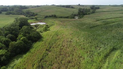 Farm and Ranch in Adams County, Iowa