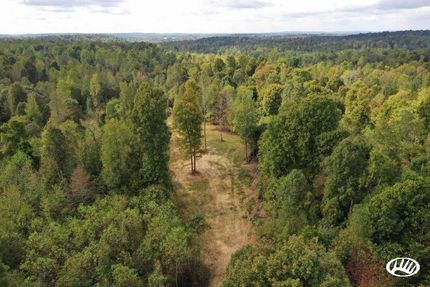 Timberland Property in Hopkins County, Kentucky
