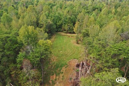 Timberland Property in Hopkins County, Kentucky