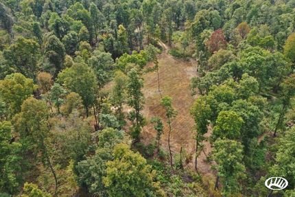 Timberland Property in Hopkins County, Kentucky