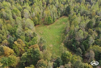 Undeveloped Land in Hopkins County, Kentucky