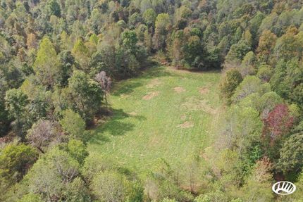 Undeveloped Land in Hopkins County, Kentucky