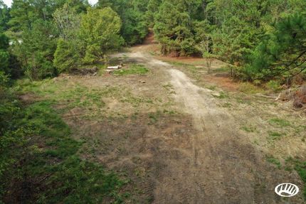 Undeveloped Land in Hopkins County, Kentucky