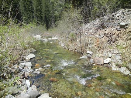 Timberland Property in Plumas County, California