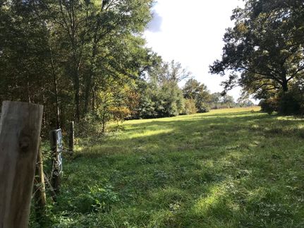 Timberland Property in Houston County, Texas